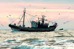 Economic impact of U.S. commercial, recreational fishing remains strong .